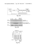 CNS TARGETING AAV VECTORS AND METHODS OF USE THEREOF diagram and image