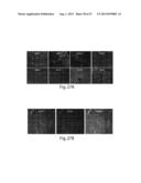 CNS TARGETING AAV VECTORS AND METHODS OF USE THEREOF diagram and image