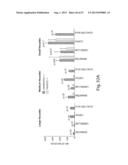 CNS TARGETING AAV VECTORS AND METHODS OF USE THEREOF diagram and image