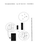 MULTIPOTENT STEM CELLS AND USES THEREOF diagram and image