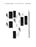 MULTIPOTENT STEM CELLS AND USES THEREOF diagram and image