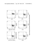 MULTIPOTENT STEM CELLS AND USES THEREOF diagram and image