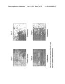 MULTIPOTENT STEM CELLS AND USES THEREOF diagram and image