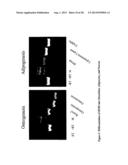 MULTIPOTENT STEM CELLS AND USES THEREOF diagram and image