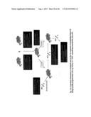 MULTIPOTENT STEM CELLS AND USES THEREOF diagram and image