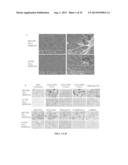 TISSUE-SPECIFIC DIFFERENTIATION MATRICES AND USES THEREOF diagram and image