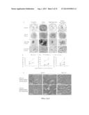 TISSUE-SPECIFIC DIFFERENTIATION MATRICES AND USES THEREOF diagram and image