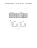 TISSUE-SPECIFIC DIFFERENTIATION MATRICES AND USES THEREOF diagram and image