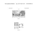 TISSUE-SPECIFIC DIFFERENTIATION MATRICES AND USES THEREOF diagram and image