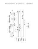 INNOVATIVE DISCOVERY OF THERAPEUTIC, DIAGNOSTIC, AND ANTIBODY COMPOSITIONS     RELATED TO PROTEIN FRAGMENTS OF PHENYLALANYL-ALPHA-TRNA SYNTHETASES diagram and image