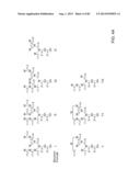 Glycosylation of Molecules diagram and image