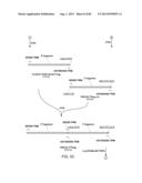 Glycosylation of Molecules diagram and image