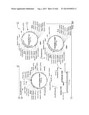 Glycosylation of Molecules diagram and image