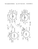 Glycosylation of Molecules diagram and image