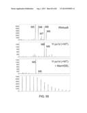 Glycosylation of Molecules diagram and image