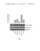 Biomarkers for Non-Hodgkin Lymphomas and Uses Thereof diagram and image