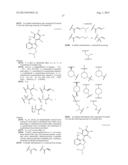 USE OF INHIBITORS OF BRUTON S TYROSINE KINASE (BTK) diagram and image