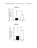 METHODS TO INHIBIT NEURODEGENERATION diagram and image