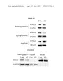 METHODS TO INHIBIT NEURODEGENERATION diagram and image