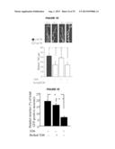 METHODS TO INHIBIT NEURODEGENERATION diagram and image