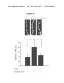 METHODS TO INHIBIT NEURODEGENERATION diagram and image