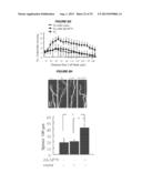 METHODS TO INHIBIT NEURODEGENERATION diagram and image