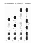 RNA-CODED ANTIBODY diagram and image