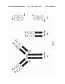 RNA-CODED ANTIBODY diagram and image