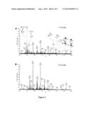 CARBOHYDRATE HAPTEN-BASED ANTI-CANCER VACCINES AND ANTIBODY DRUGS diagram and image