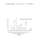 CARBOHYDRATE HAPTEN-BASED ANTI-CANCER VACCINES AND ANTIBODY DRUGS diagram and image