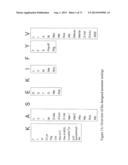 SSX-2 PEPTIDE ANALOGS diagram and image