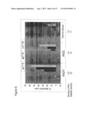 SSX-2 PEPTIDE ANALOGS diagram and image