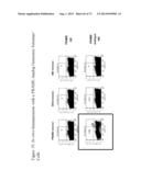 SSX-2 PEPTIDE ANALOGS diagram and image