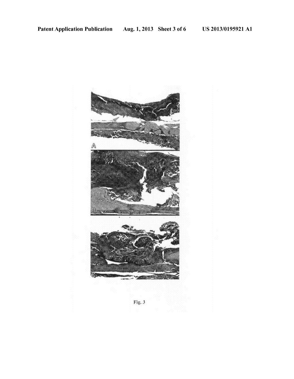 METHODS FOR REGULATING GELATION OF HYDROGEL SOLUTIONS AND USES THEREOF - diagram, schematic, and image 04