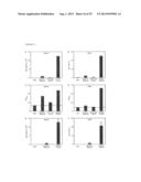 NOVEL MUCOSAL VACCINATION APPROACH FOR HERPES SIMPLEX VIRUS TYPE-2 diagram and image