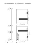 NOVEL MUCOSAL VACCINATION APPROACH FOR HERPES SIMPLEX VIRUS TYPE-2 diagram and image