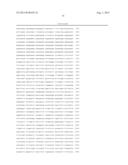 IDENTIFICATION OF ISOLATED GENOMIC NUCLEOTIDE FRAGMENTS FROM THE p15     REGION OF CHROMOSOME 11 ENCODING HUMAN ACHAETE-SCUTE HOMOLOG 2 (HASH2)     AND VARIANTS THEREOF diagram and image