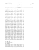 IDENTIFICATION OF ISOLATED GENOMIC NUCLEOTIDE FRAGMENTS FROM THE p15     REGION OF CHROMOSOME 11 ENCODING HUMAN ACHAETE-SCUTE HOMOLOG 2 (HASH2)     AND VARIANTS THEREOF diagram and image