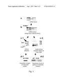 CONSTITUTION OF TOOL FOR ANALYZING BIOMOLECULAR INTERACTION AND ANALYSIS     METHOD USING SAME diagram and image