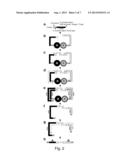 CONSTITUTION OF TOOL FOR ANALYZING BIOMOLECULAR INTERACTION AND ANALYSIS     METHOD USING SAME diagram and image