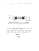 CONSTITUTION OF TOOL FOR ANALYZING BIOMOLECULAR INTERACTION AND ANALYSIS     METHOD USING SAME diagram and image