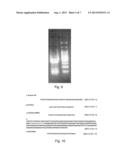 CONSTITUTION OF TOOL FOR ANALYZING BIOMOLECULAR INTERACTION AND ANALYSIS     METHOD USING SAME diagram and image