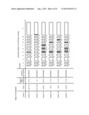 SPLICE VARIANTS OF HUMAN IL-23 RECEPTOR (IL-23R) mRNA AND USE OF A DELTA 9     ISOFORM IN PREDICTING INFLAMMATORY BOWEL DISEASES diagram and image