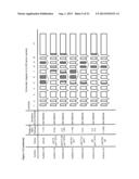 SPLICE VARIANTS OF HUMAN IL-23 RECEPTOR (IL-23R) mRNA AND USE OF A DELTA 9     ISOFORM IN PREDICTING INFLAMMATORY BOWEL DISEASES diagram and image