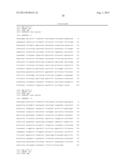 SPLICE VARIANTS OF HUMAN IL-23 RECEPTOR (IL-23R) mRNA AND USE OF A DELTA 9     ISOFORM IN PREDICTING INFLAMMATORY BOWEL DISEASES diagram and image