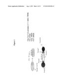 DETECTION OF BIOMARKERS AND BIOMARKER COMPLEXES diagram and image