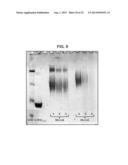 BACTERICIDAL ANTIBODY ASSAYS TO ASSESS IMMUNOGENICITY AND POTENCY OF     MENINGOCOCCAL CAPSULAR SACCHARIDE VACCINES diagram and image