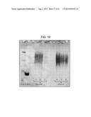 BACTERICIDAL ANTIBODY ASSAYS TO ASSESS IMMUNOGENICITY AND POTENCY OF     MENINGOCOCCAL CAPSULAR SACCHARIDE VACCINES diagram and image