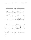 Informatics Enhanced Analysis of Fetal Samples Subject to Maternal     Contamination diagram and image