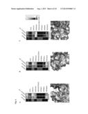 COMBINATORIAL POST-TRANSLATIONALLY-MODIFIED HISTONE PEPTIDES, ARRAYS     THEREOF, AND METHODS OF USING THE SAME diagram and image